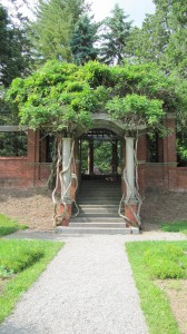 Trellis Arch Steps